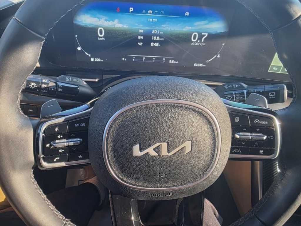 KIA Carnival - Vista 11