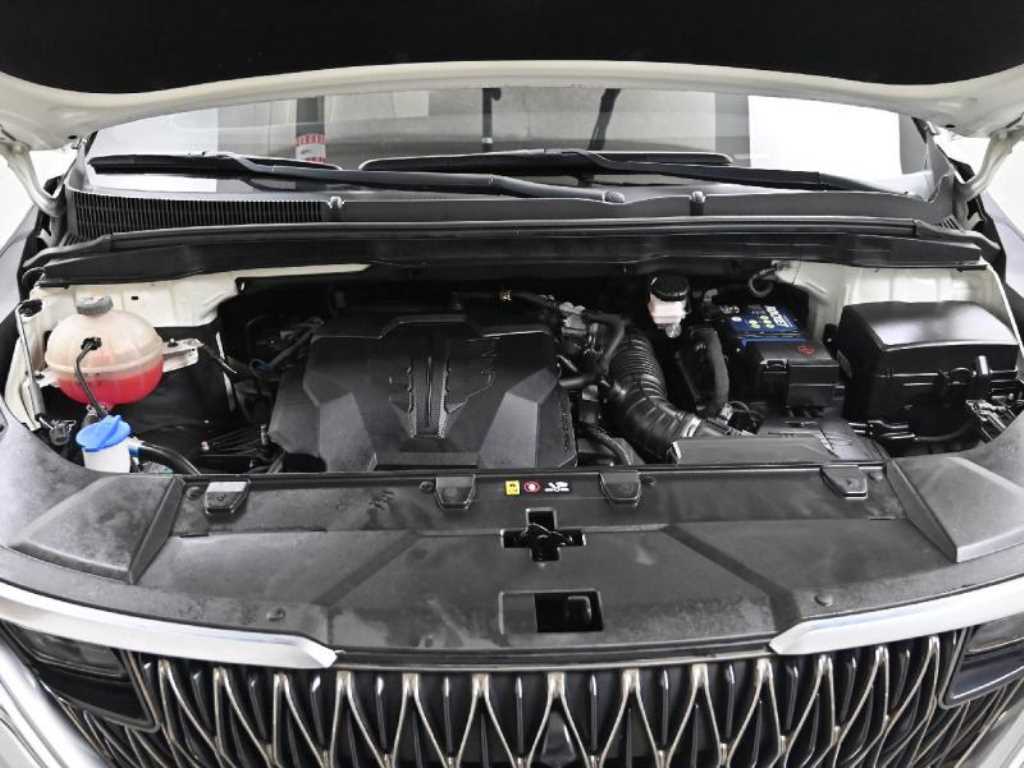 KIA Carnival - Vista 6