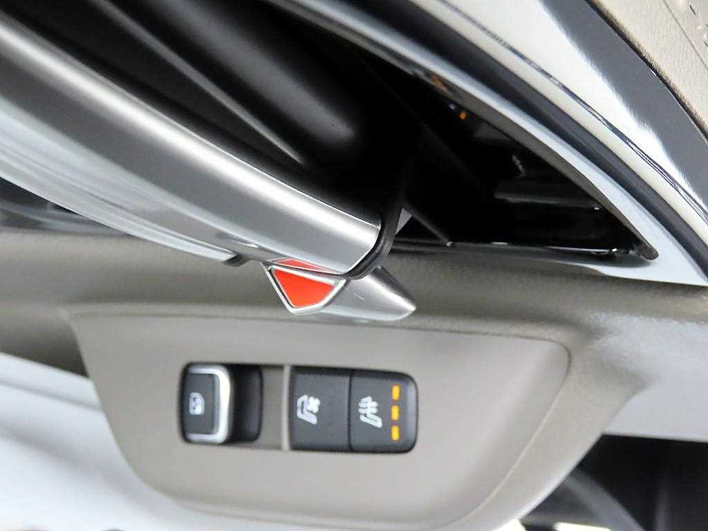 KIA Carnival - Vista 12