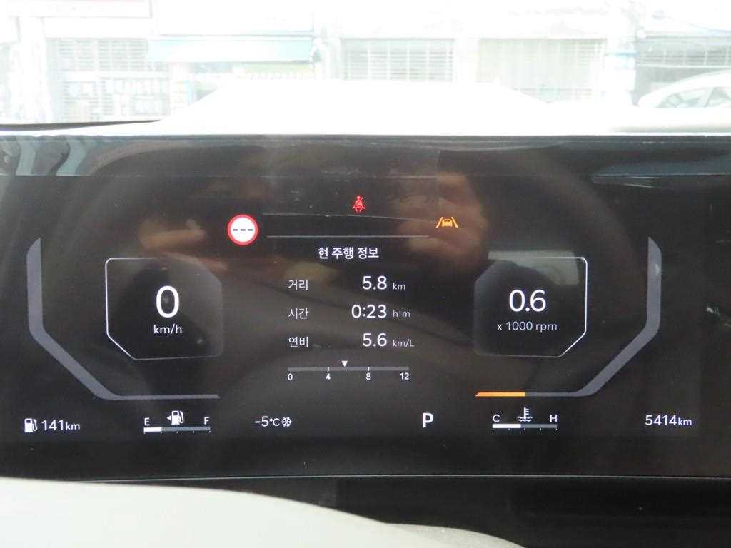 KIA Carnival - Vista 8