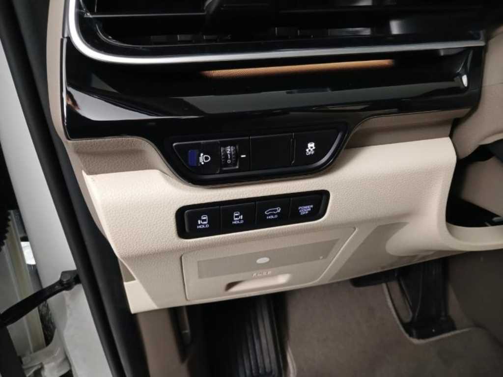 KIA Carnival - Vista 12