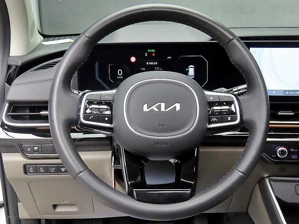 KIA Carnival - Vista 9