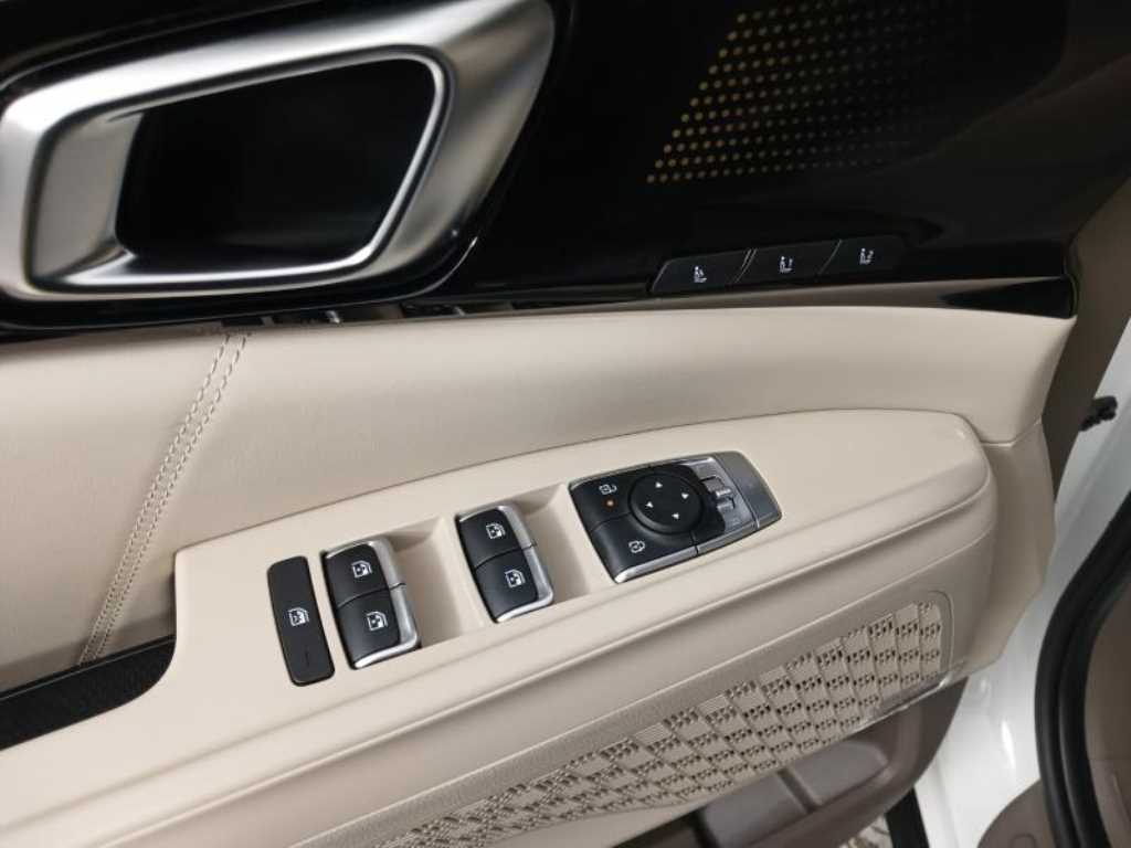 KIA Carnival - Vista 9