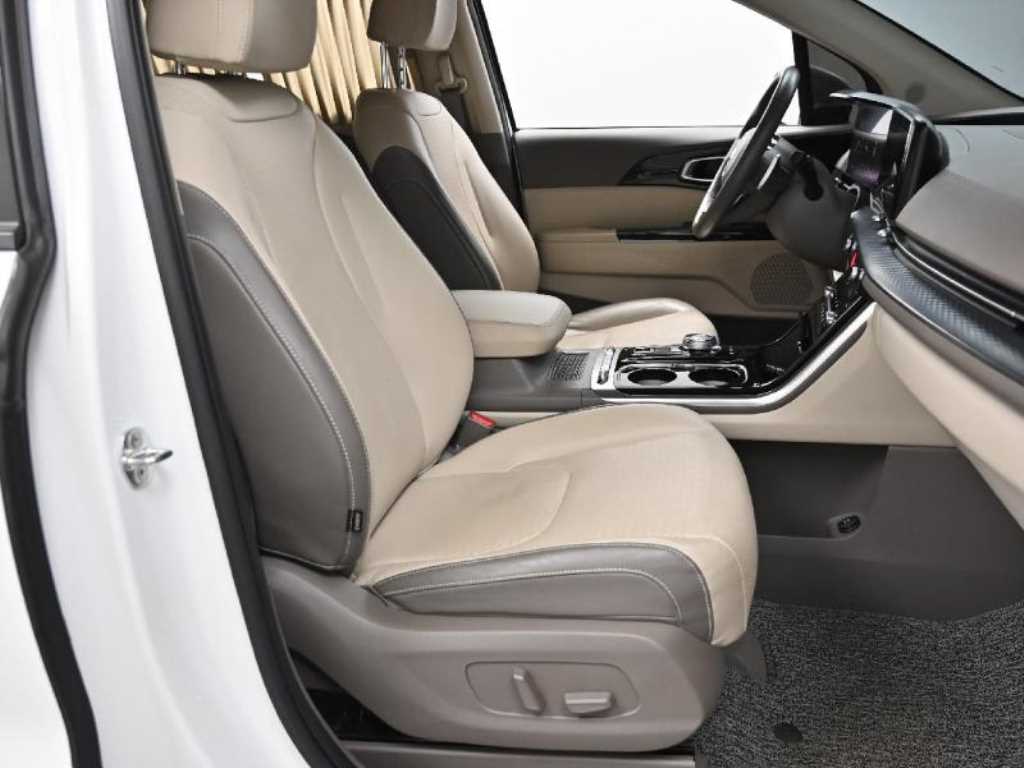 KIA Carnival - Vista 10