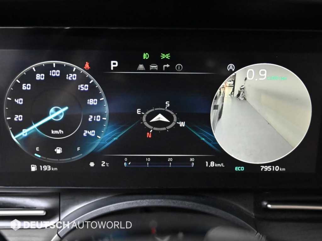 KIA Carnival - Vista 8