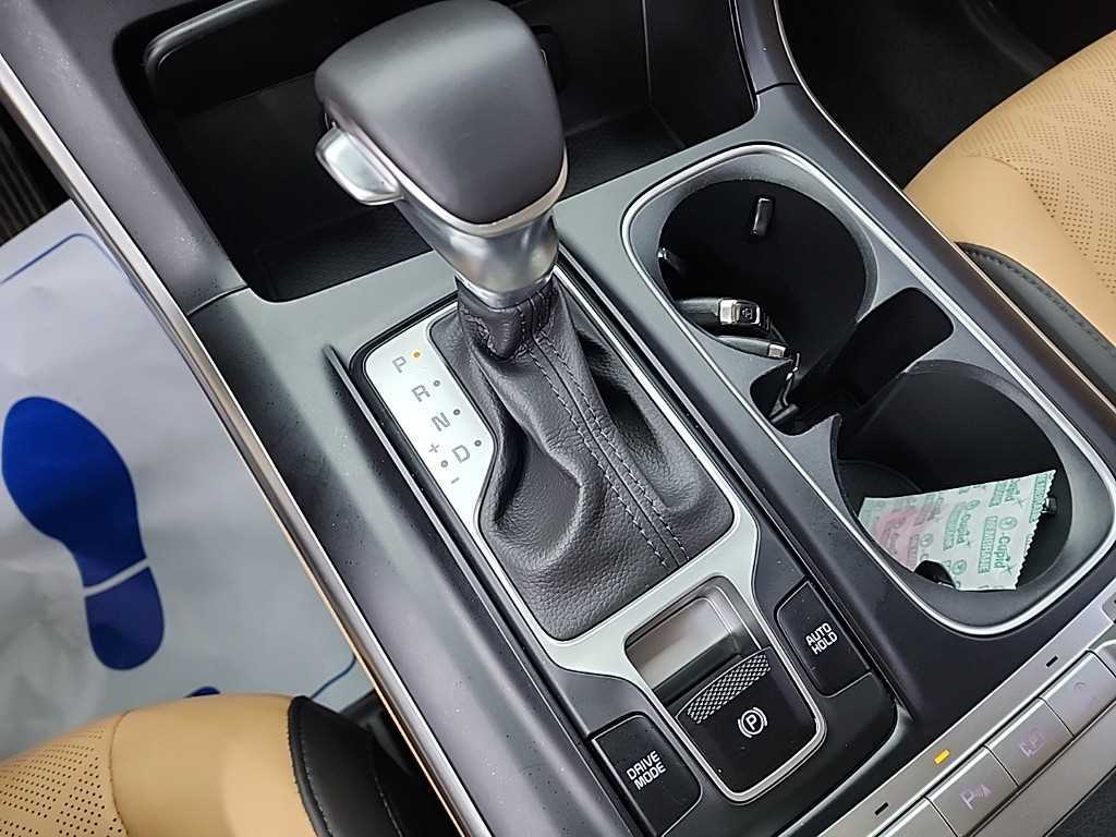 KIA Carnival - Vista 8