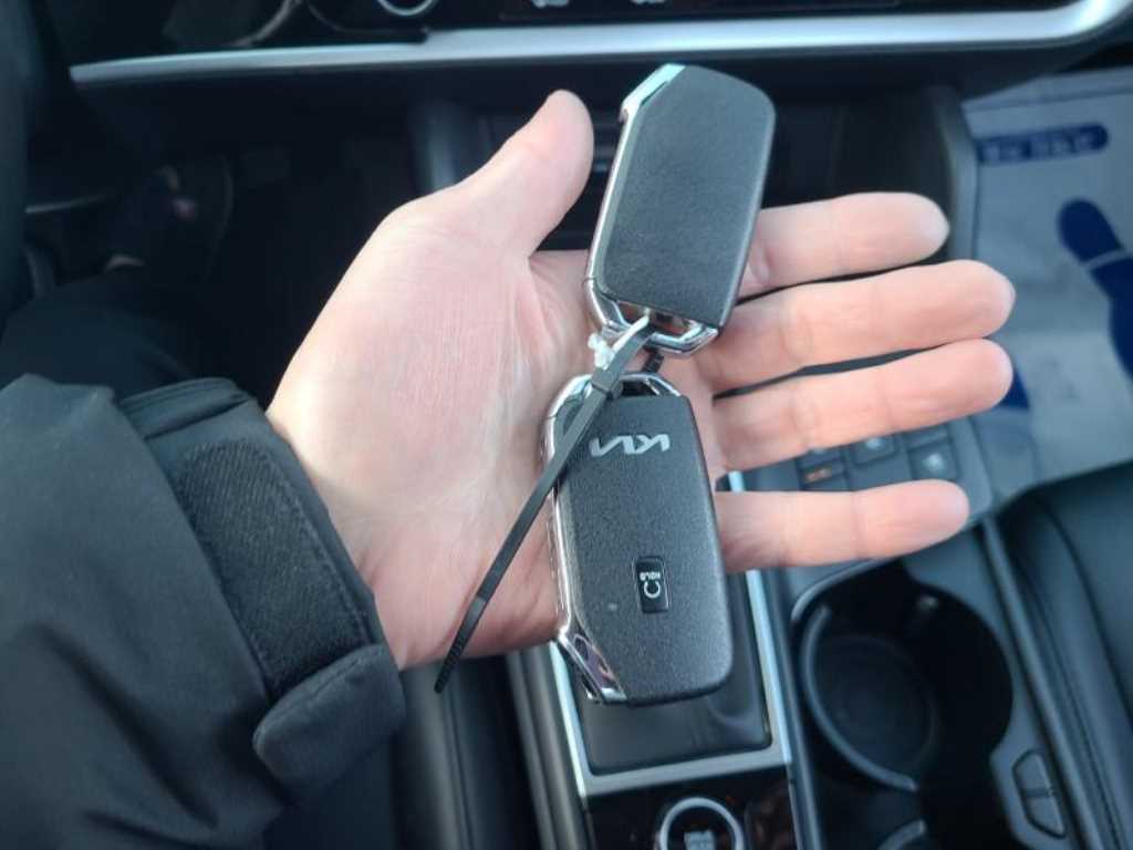 KIA Sportage - Vista 12