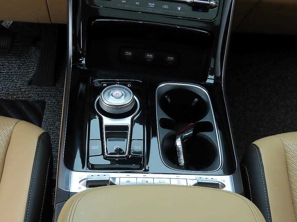 KIA Carnival - Vista 10