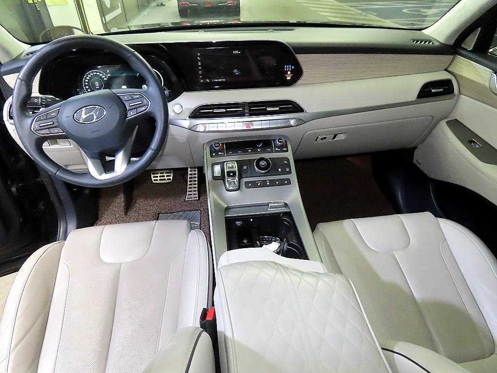 HYUNDAI Palisade - Vista 10