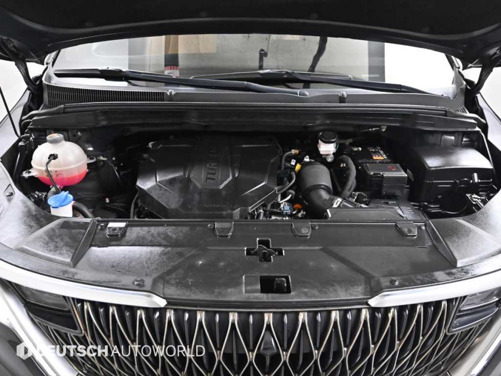 KIA Carnival - Vista 6