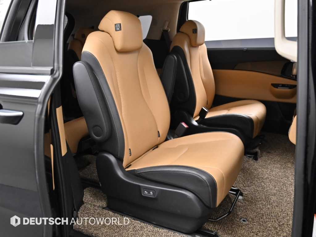 KIA Carnival - Vista 12