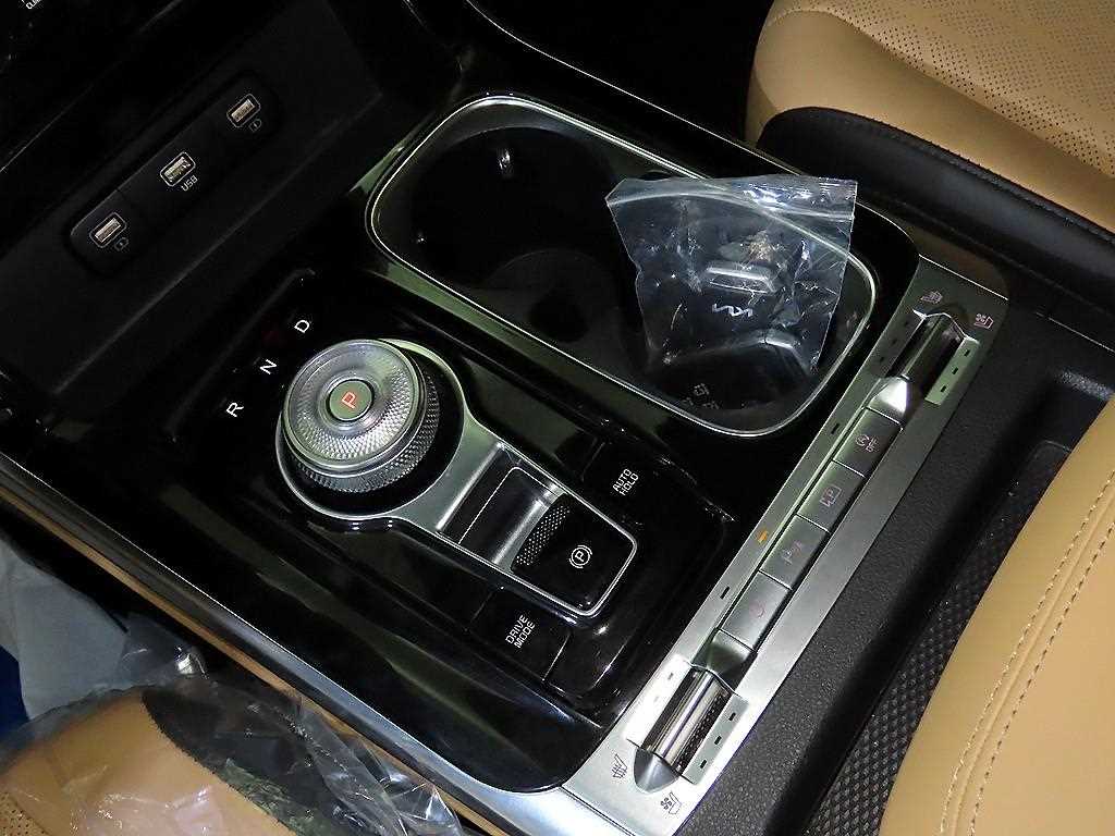 KIA Carnival - Vista 12