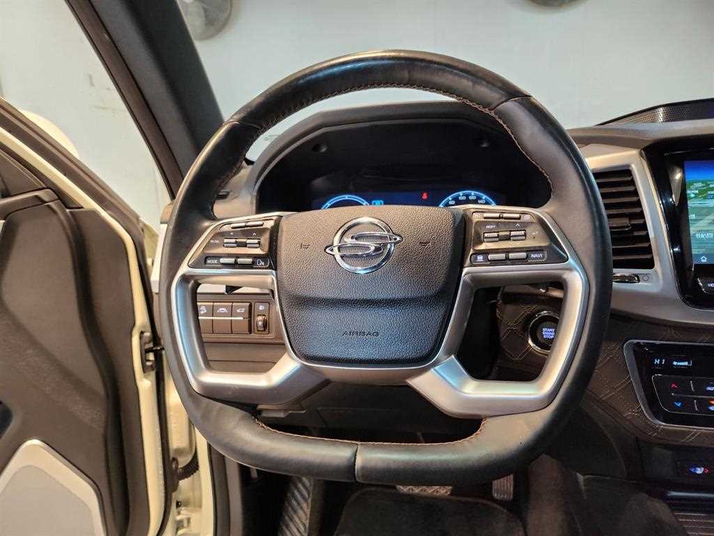 Ssangyong Rexton - Vista 9