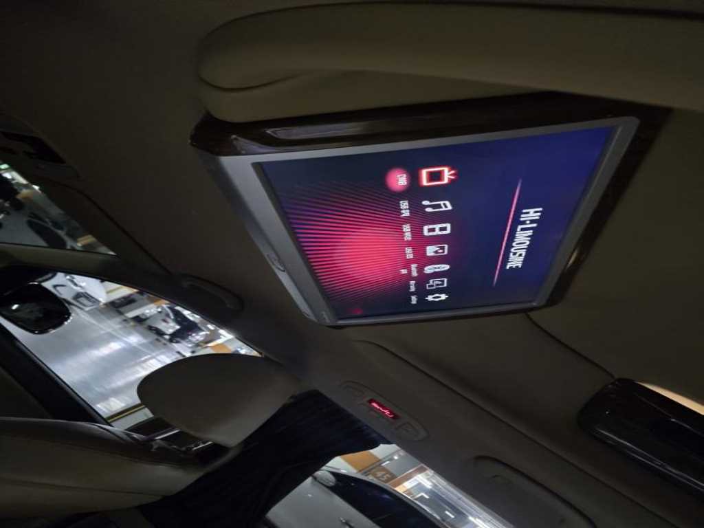 KIA Carnival - Vista 12