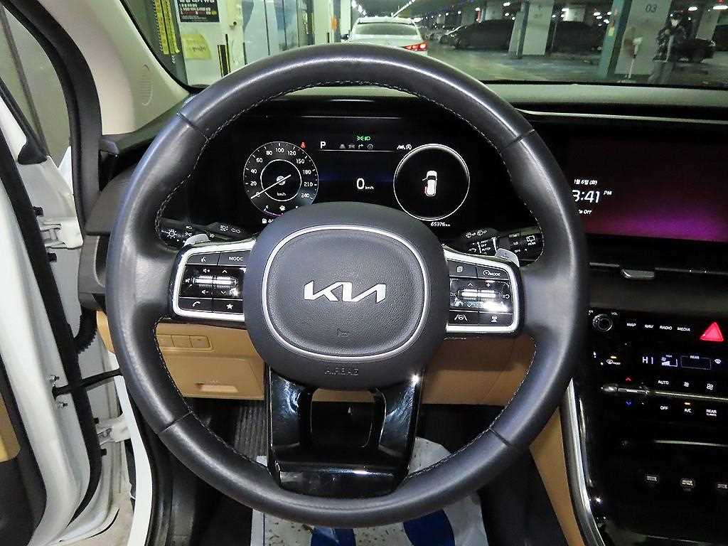 KIA Carnival - Vista 8