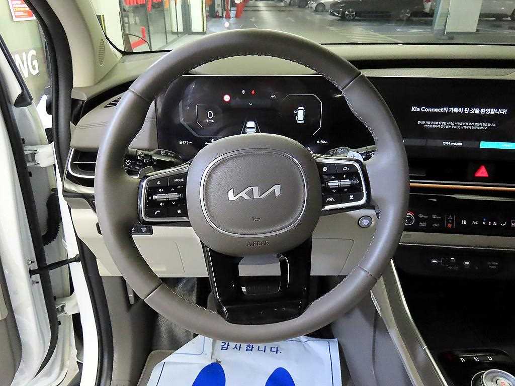 KIA Carnival - Vista 9