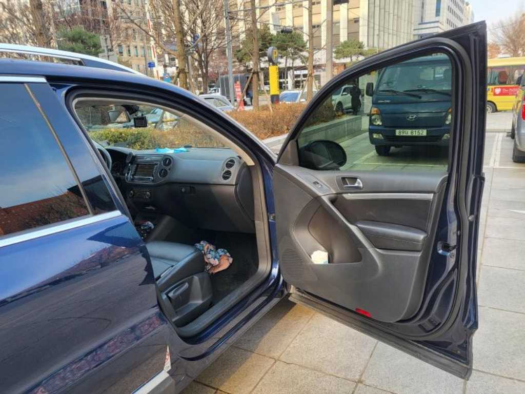 Volkswagen Tiguan - Vista 10