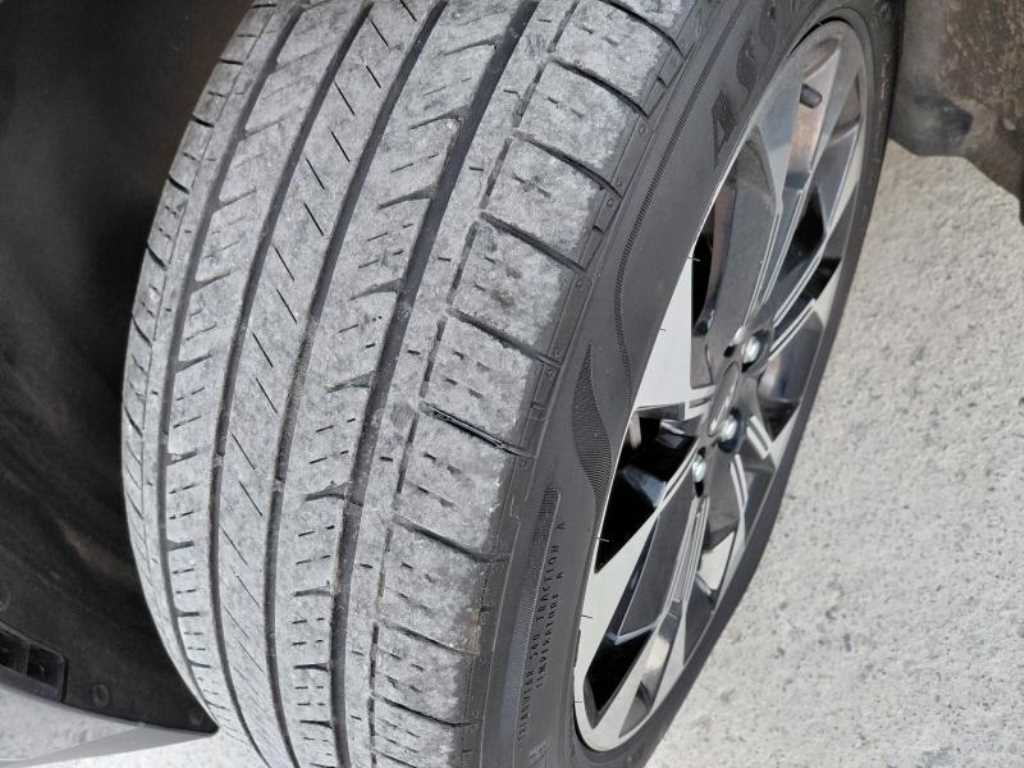 KIA Carnival - Vista 5