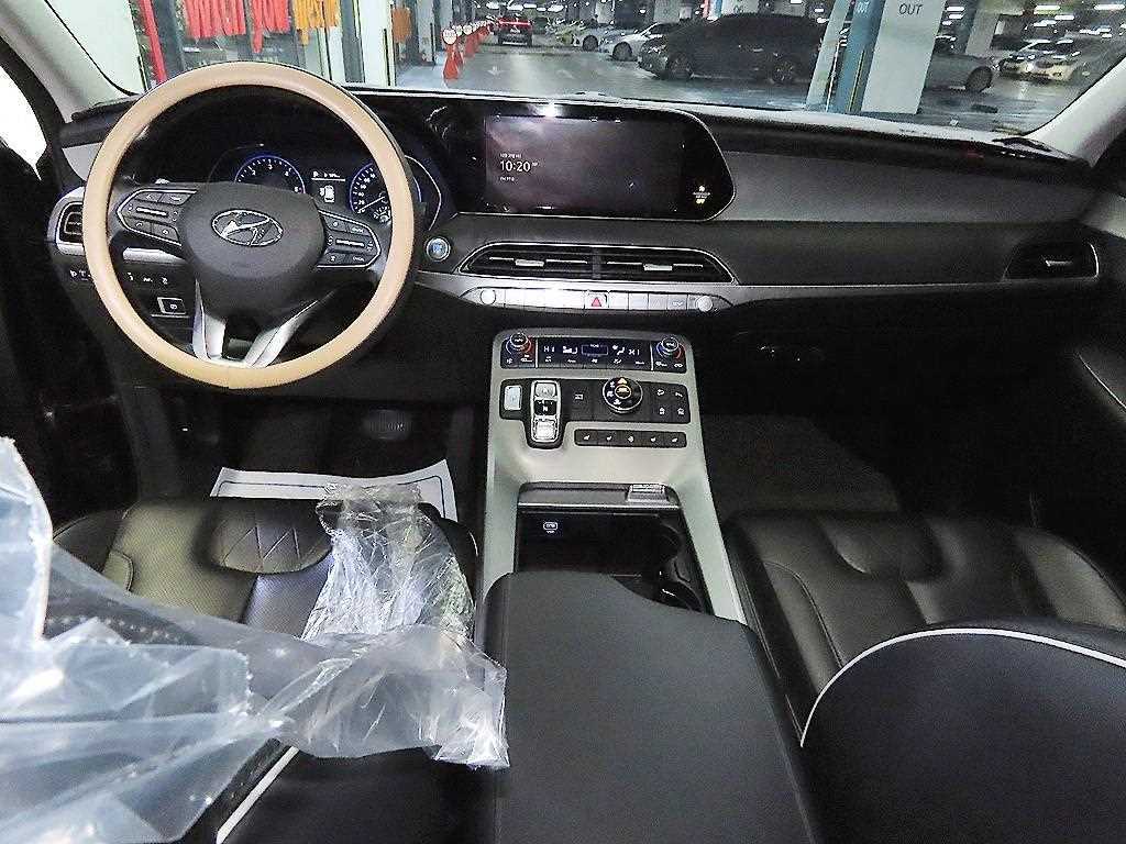 HYUNDAI Palisade - Vista 10