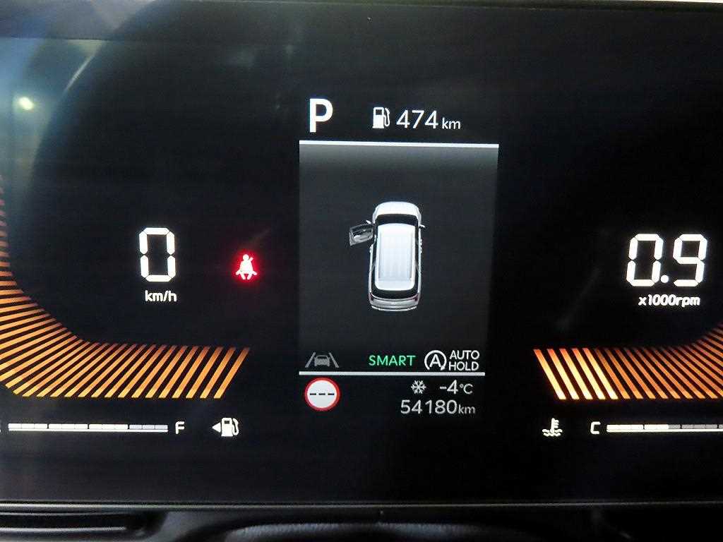 KIA Carnival - Vista 10