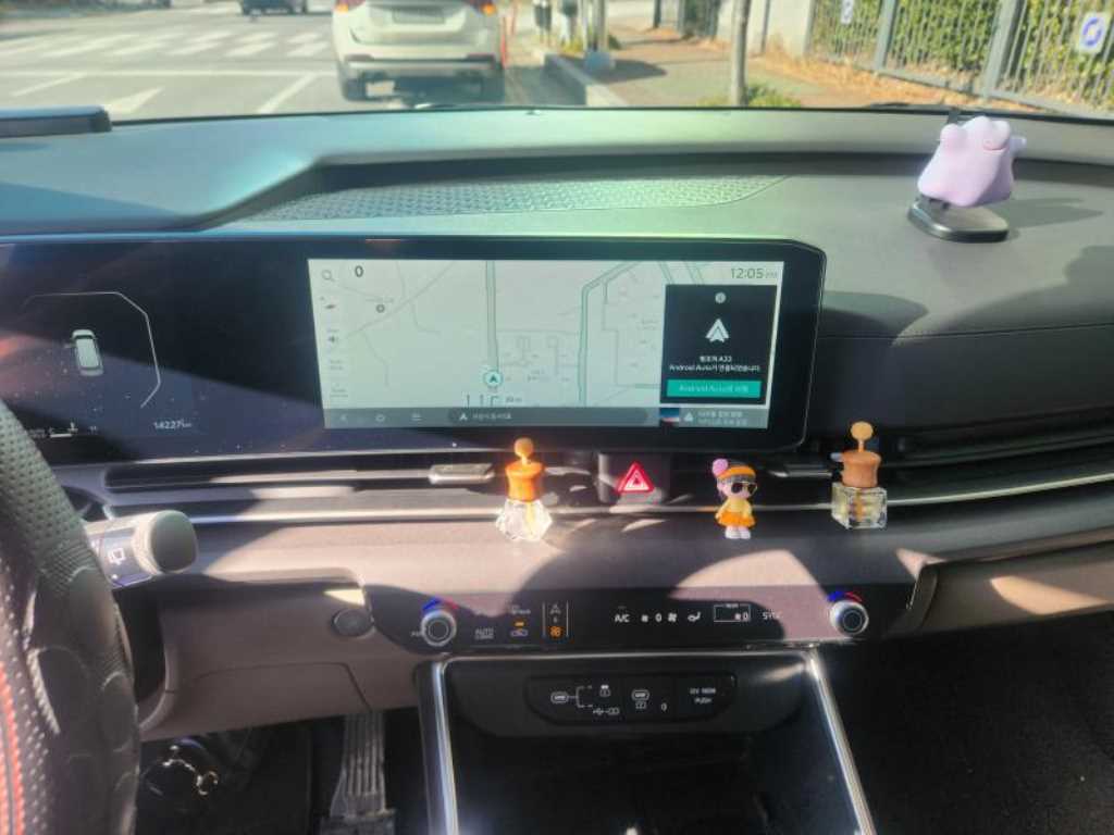 KIA Carnival - Vista 9