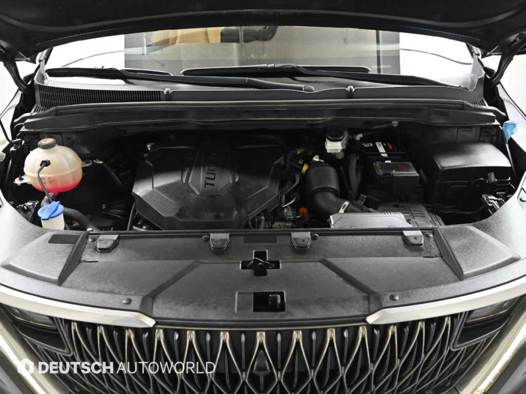 KIA Carnival - Vista 6