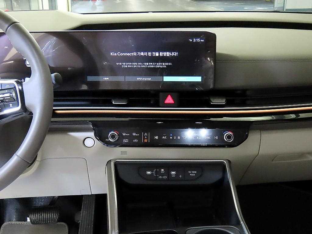 KIA Carnival - Vista 12