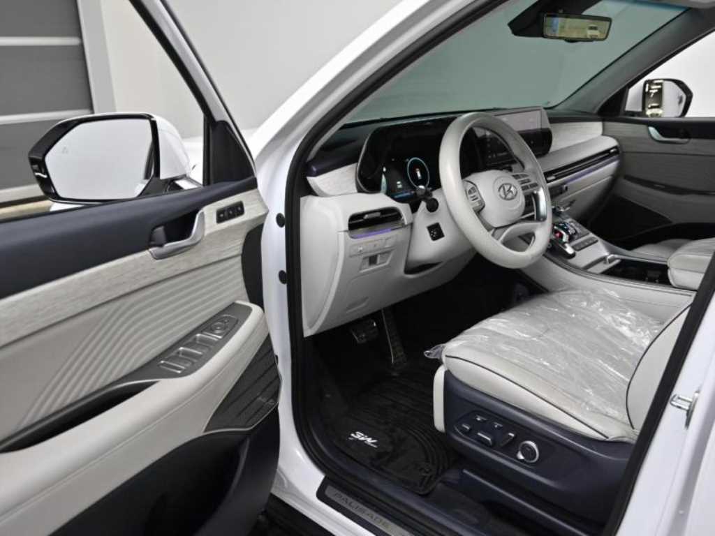 HYUNDAI Palisade - Vista 11