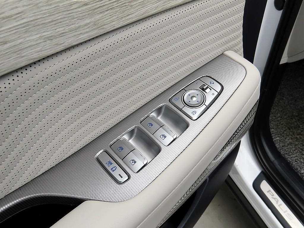 HYUNDAI Palisade - Vista 12