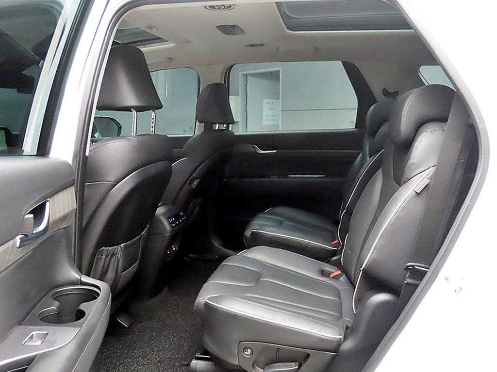 HYUNDAI Palisade - Vista 6