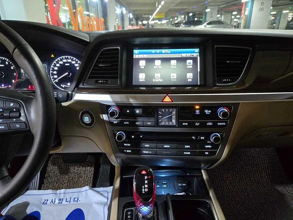 HYUNDAI Genesis - Vista 11
