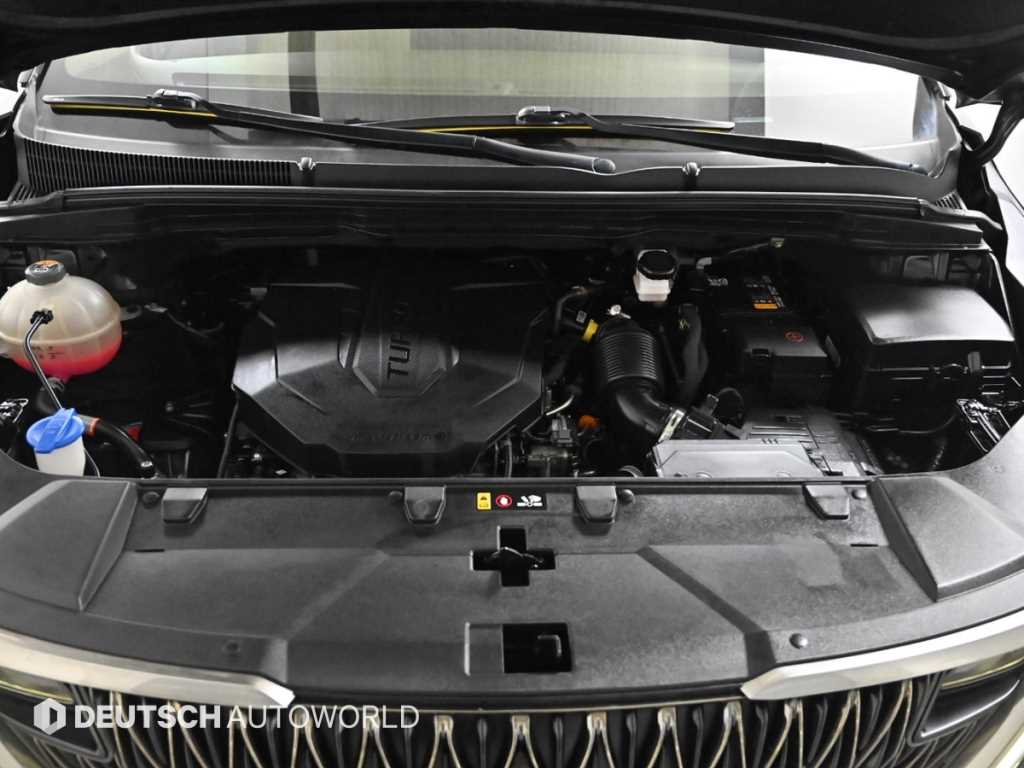 KIA Carnival - Vista 6