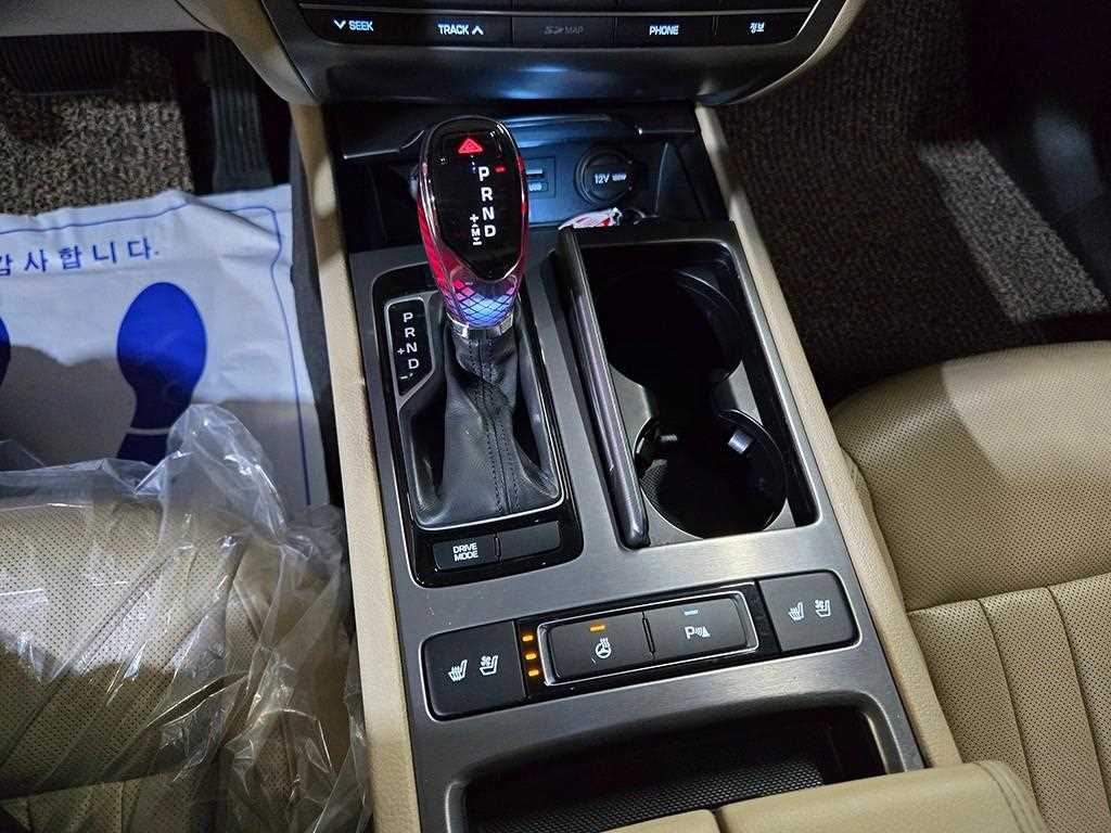 HYUNDAI Genesis - Vista 12