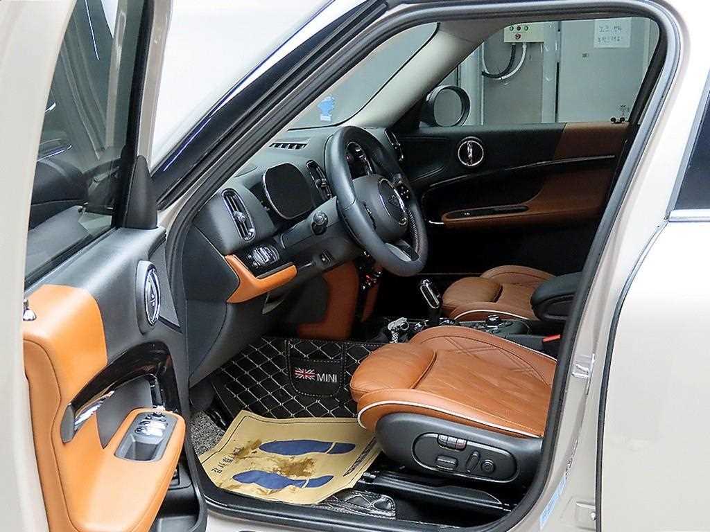 Mini Countryman - Vista 5