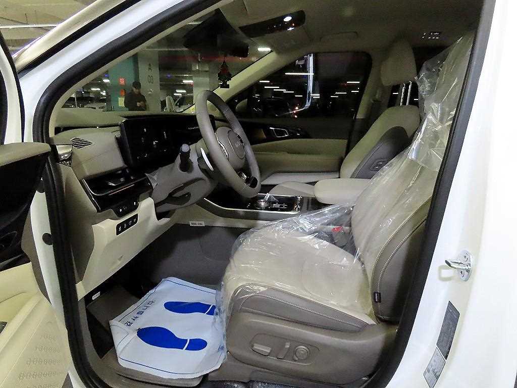 KIA Carnival - Vista 6