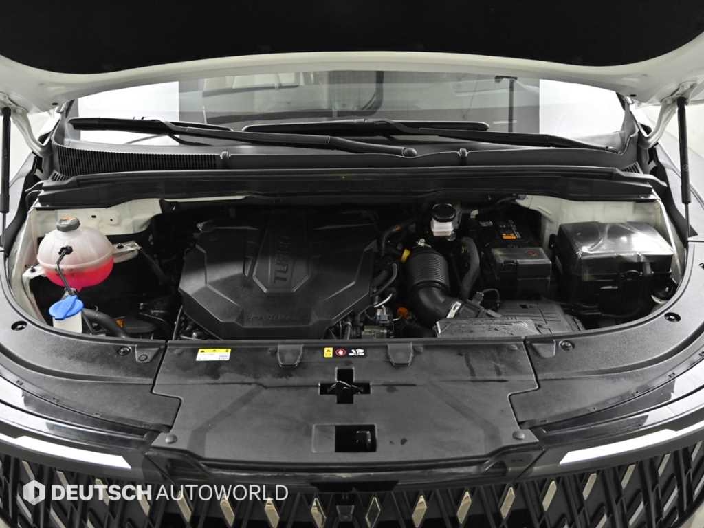 KIA Carnival - Vista 6