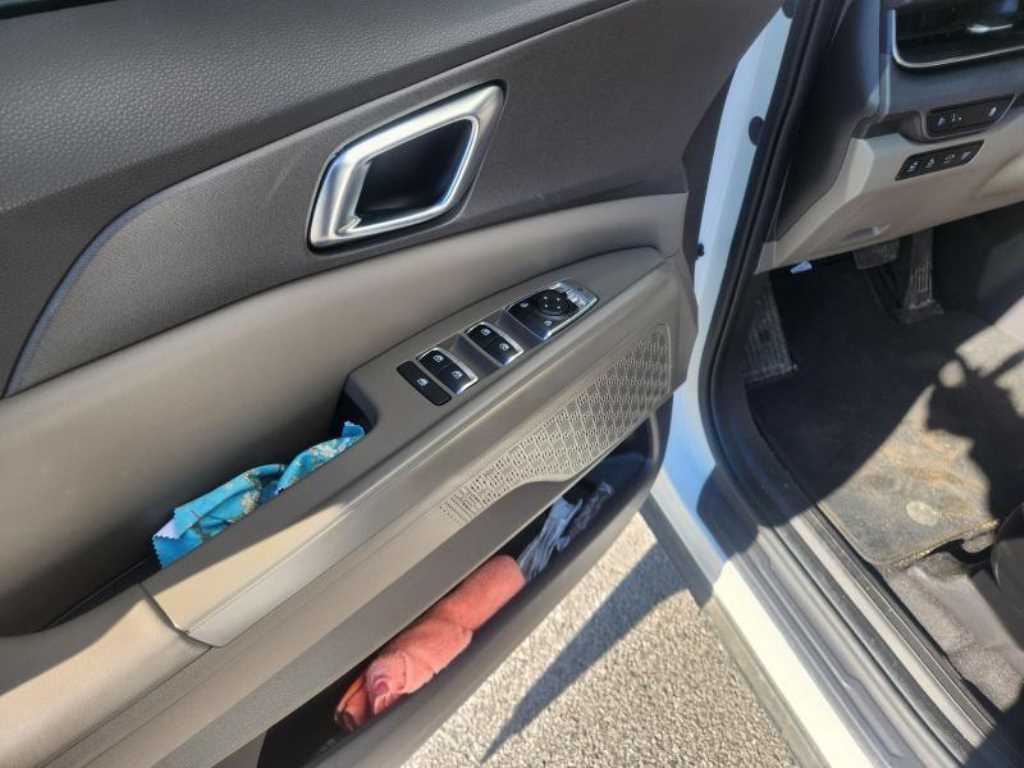 KIA Carnival - Vista 4