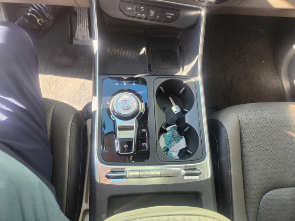 KIA Carnival - Vista 10