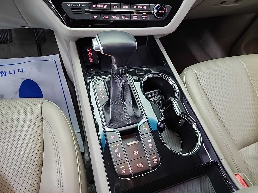 KIA Carnival - Vista 8