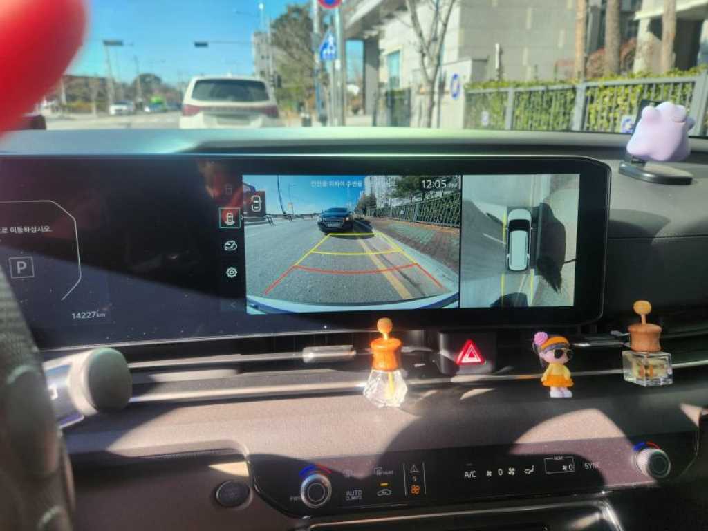 KIA Carnival - Vista 12