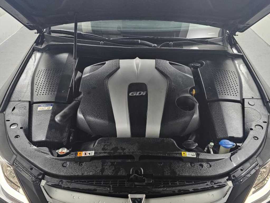 HYUNDAI Genesis - Vista 6