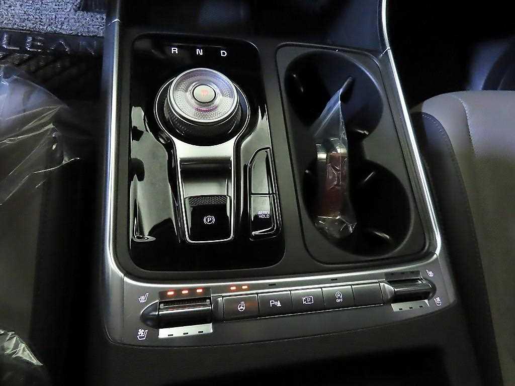 KIA Carnival - Vista 12