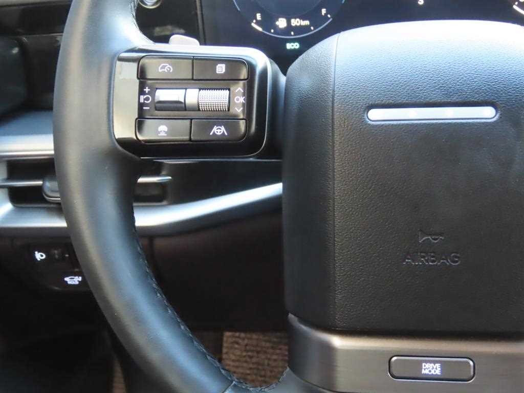 HYUNDAI Grandeur - Vista 10
