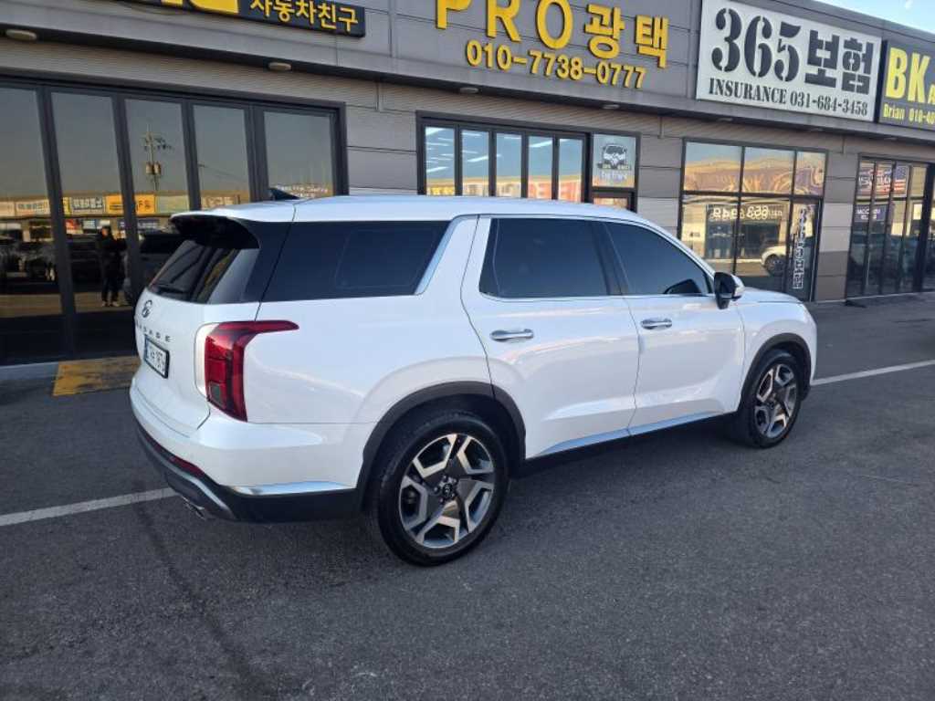 HYUNDAI Palisade - Vista 4