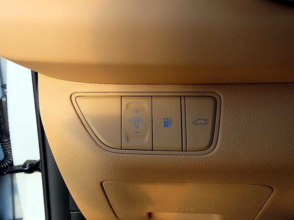 Genesis G70 - Vista 12