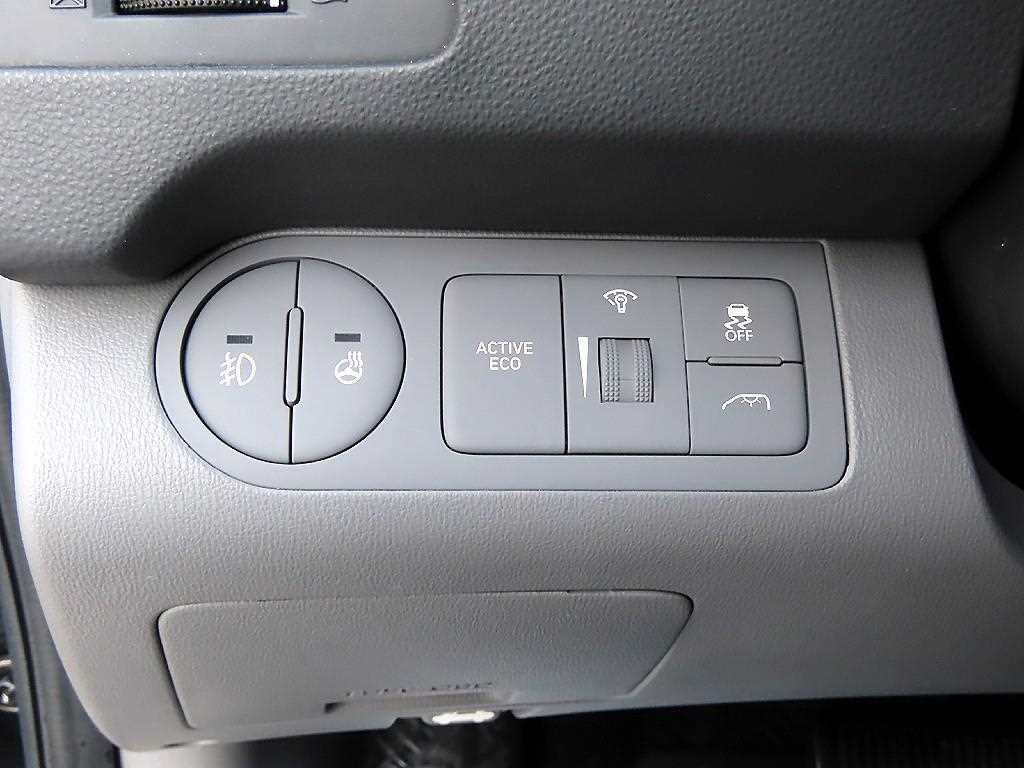 HYUNDAI Starex - Vista 12