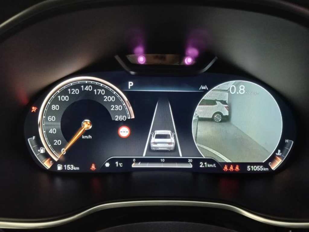 Genesis G80 - Vista 10