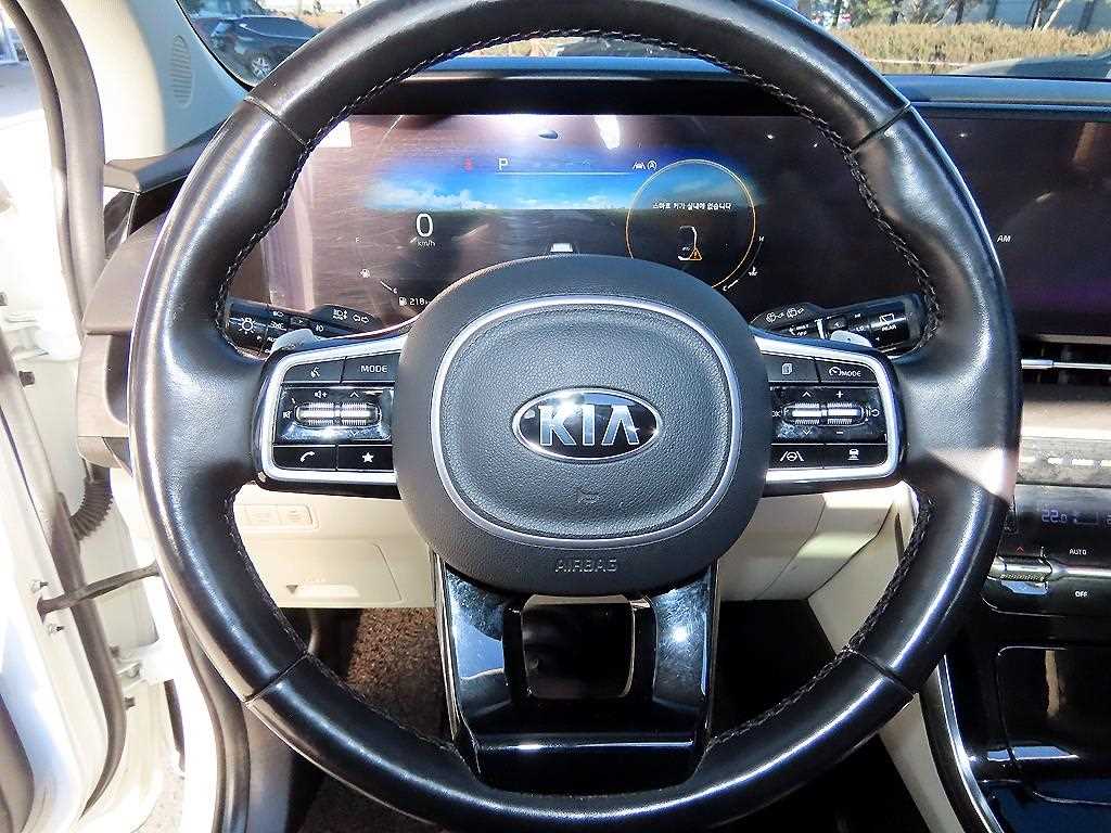 KIA Carnival - Vista 9