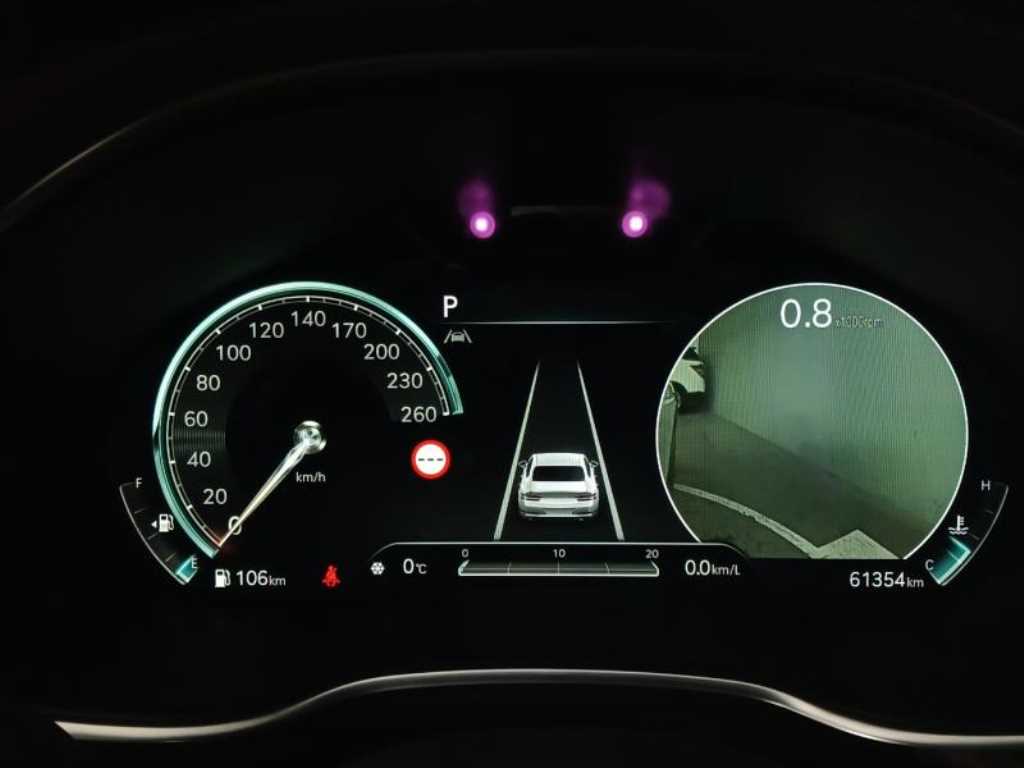 Genesis G80 - Vista 11