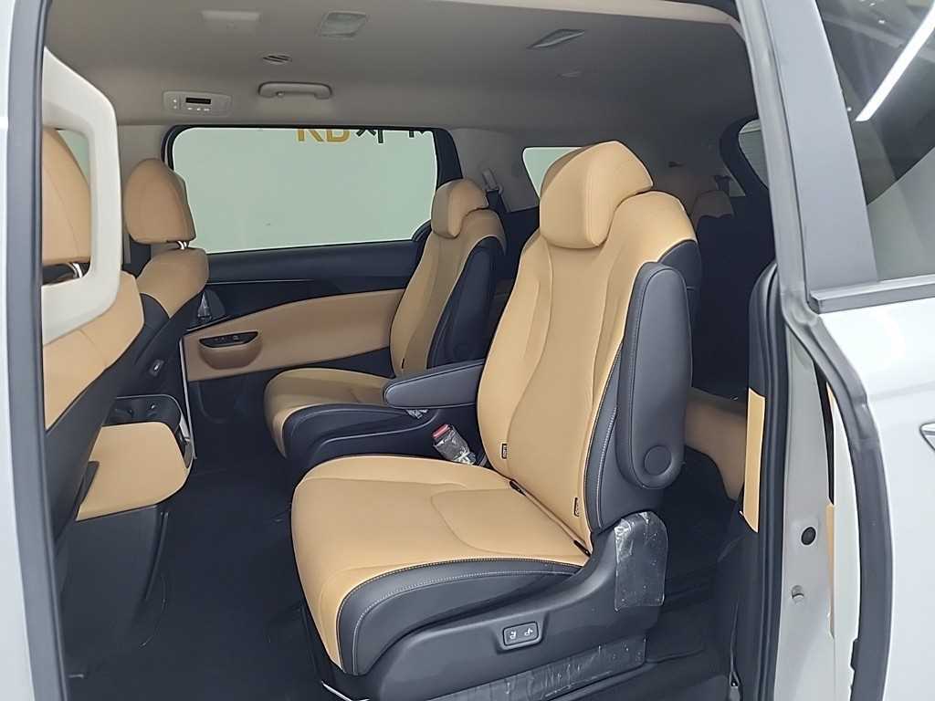 KIA Carnival - Vista 12